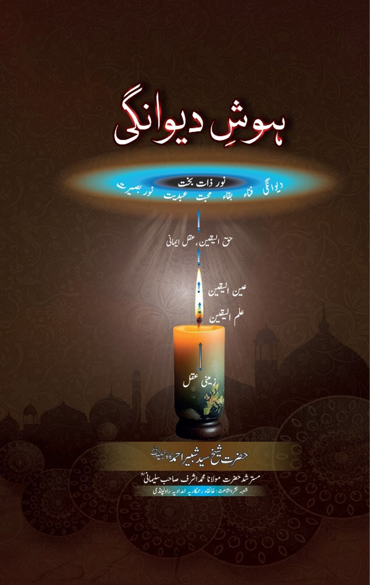 ہوشِ دیوانگی